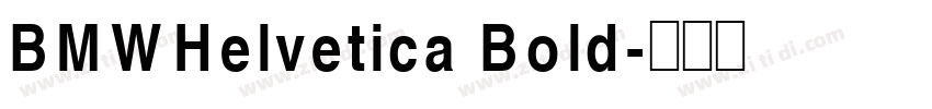 BMWHelvetica Bold字体转换